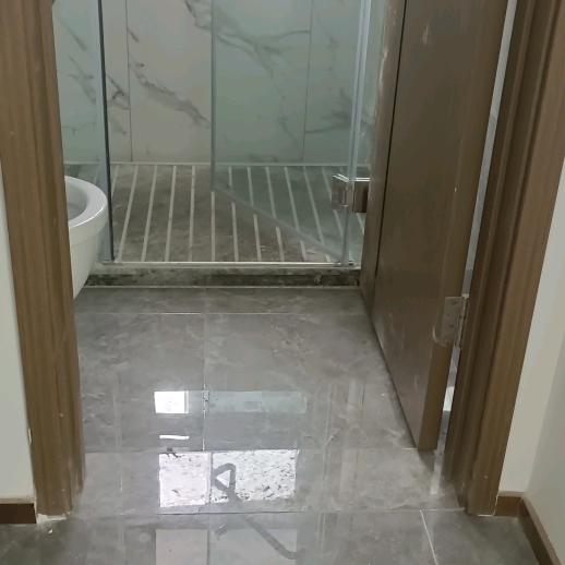 向阳生，，，，，，，