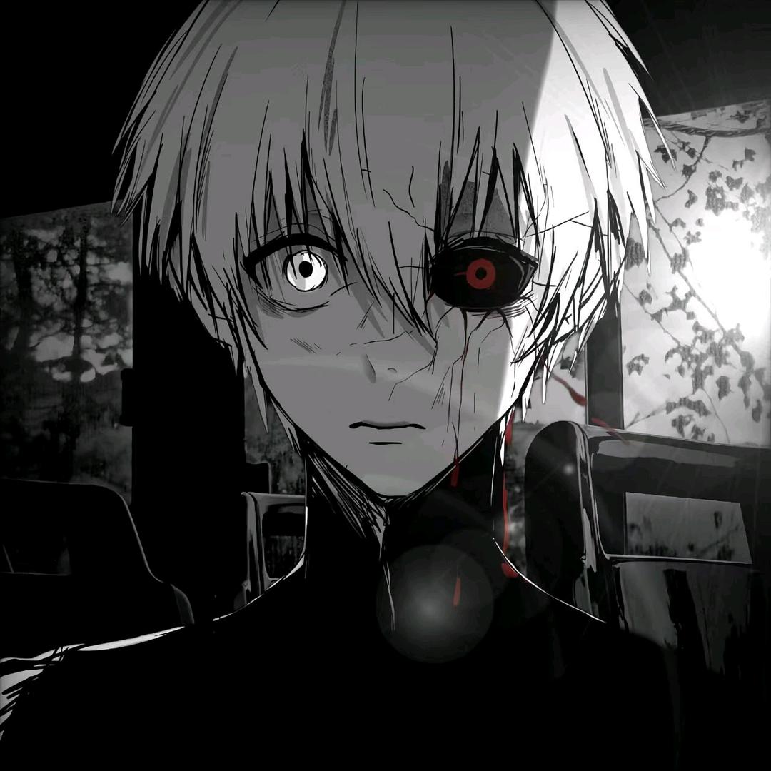 猫玄（单机游戏）