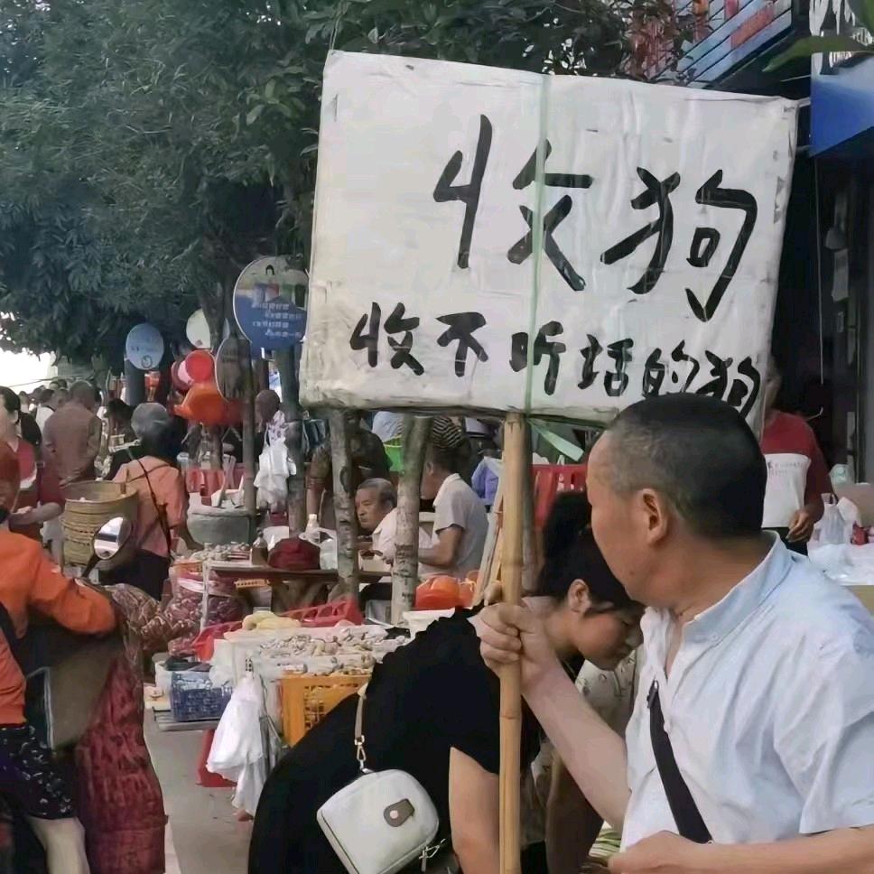 船长  小马哥