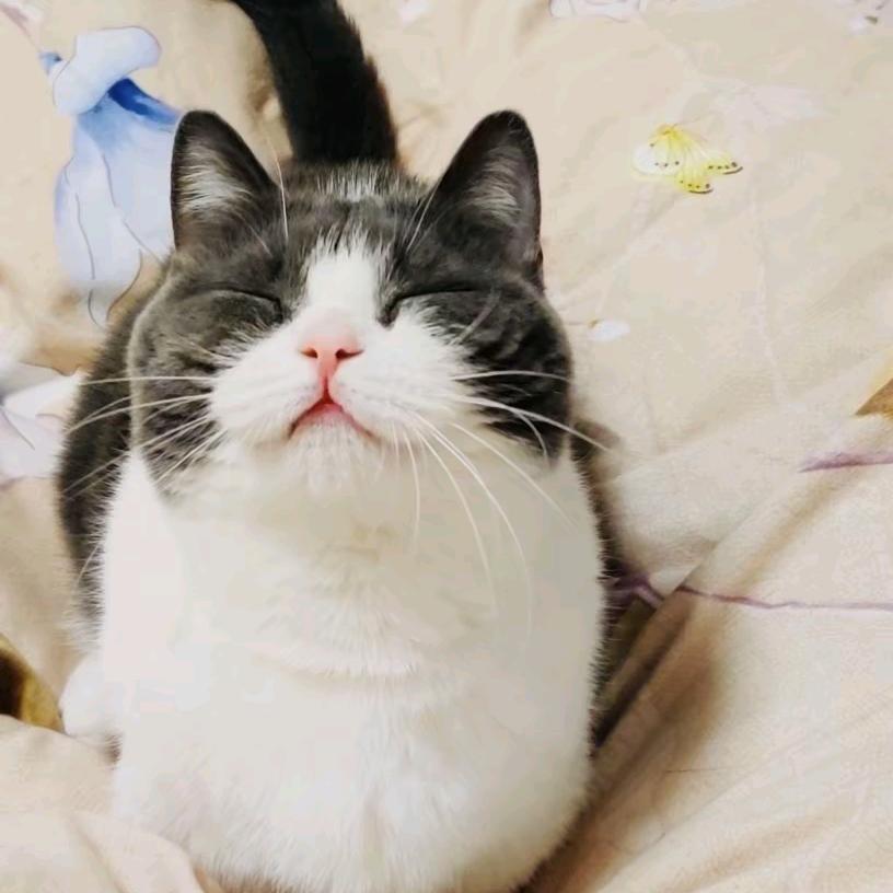 桑🍃