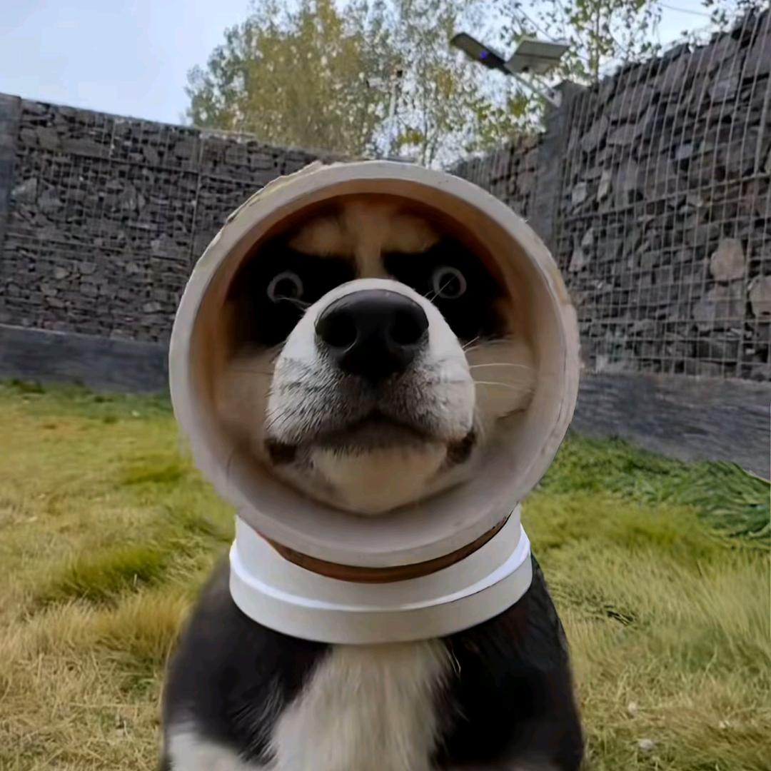 周小周呀