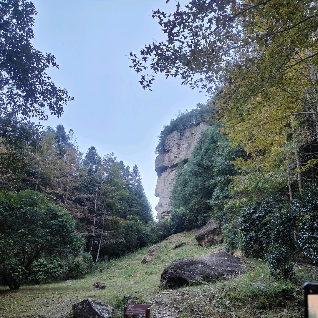 胖飞飞