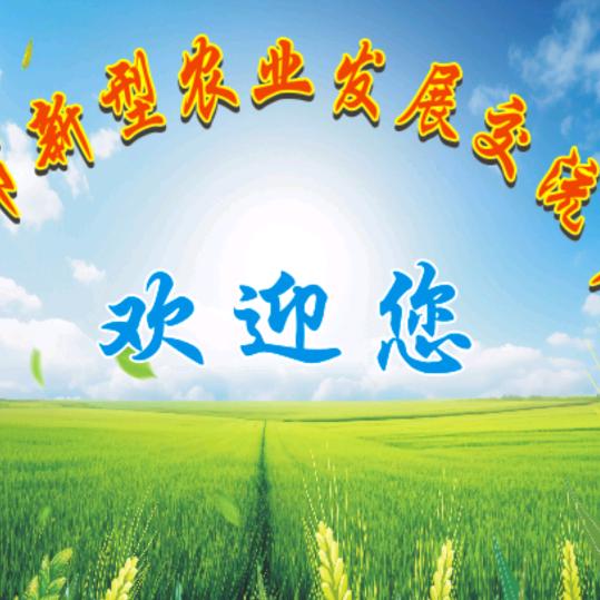 08农业平台创始人：邓忠