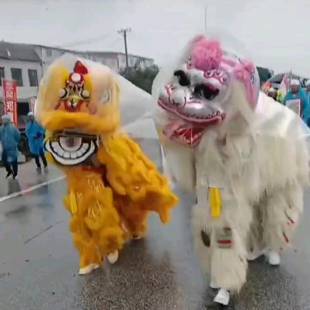 南阳宛东舞狮团