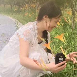 玫瑰.