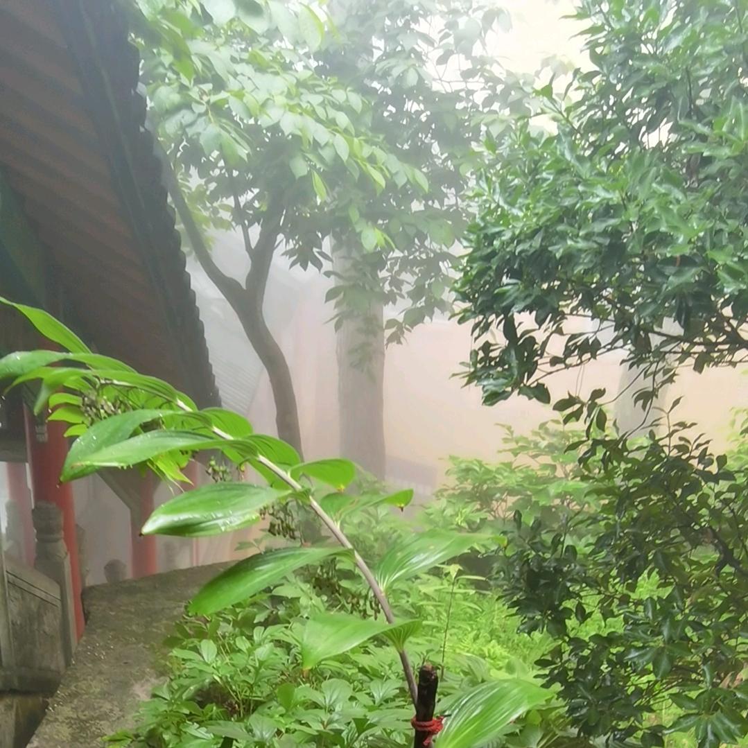 心无所住