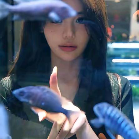 全住会房产全额速收