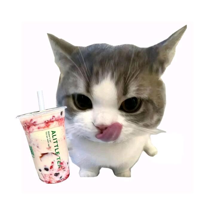 慢愿