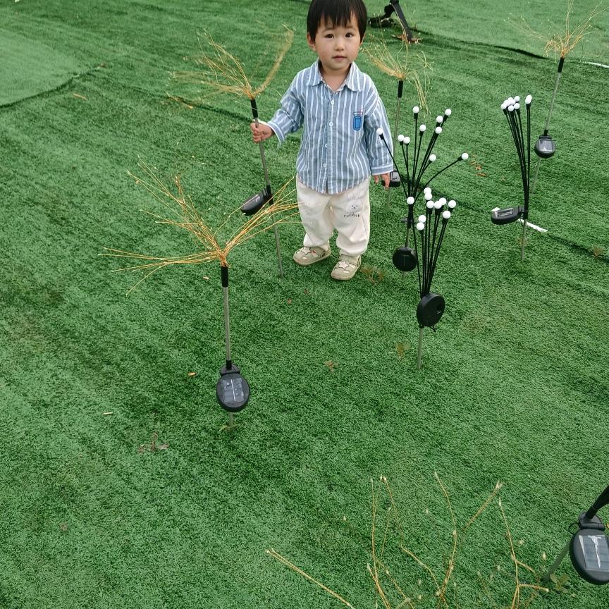 🌸️🌸️家有两宝