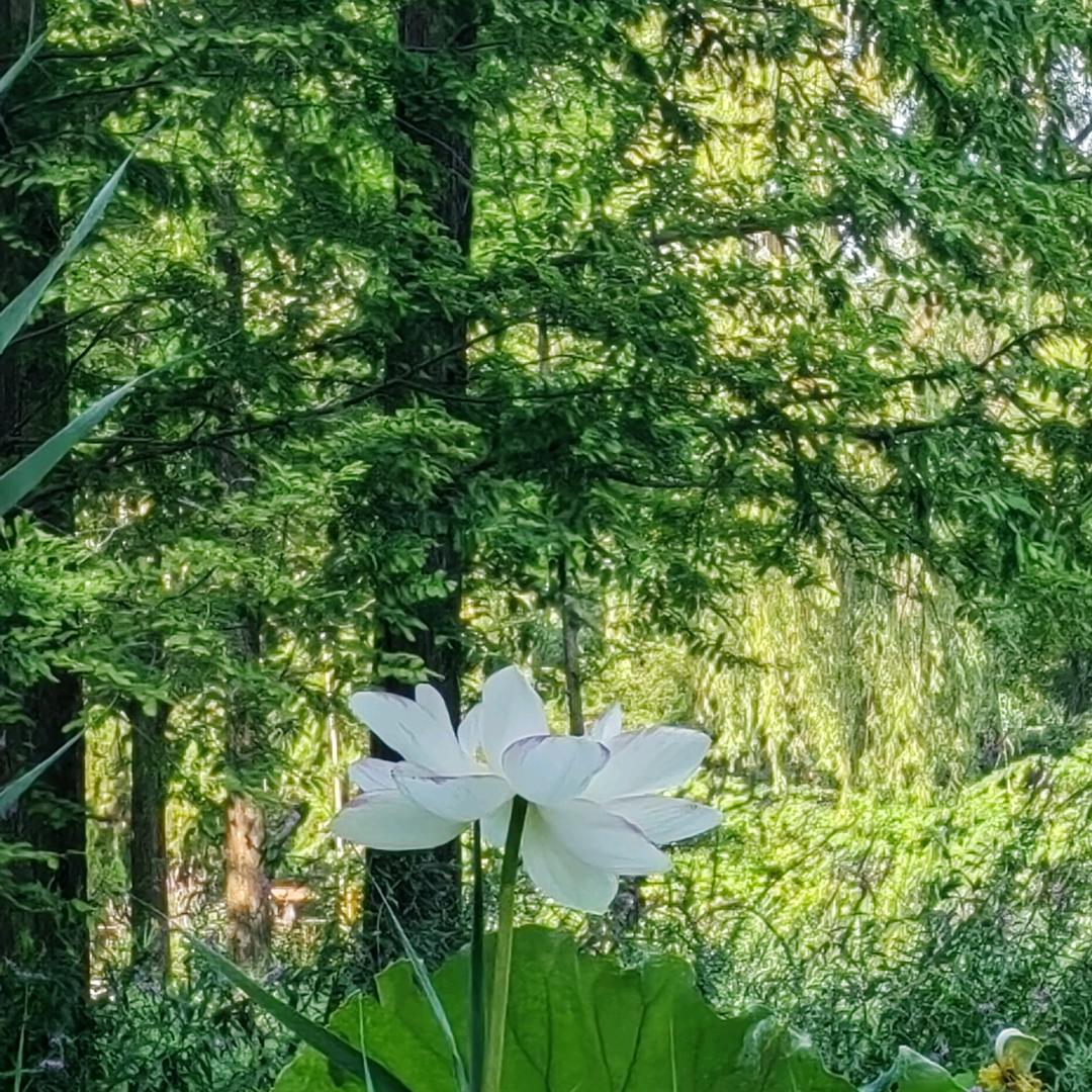 放下一切，回归自然