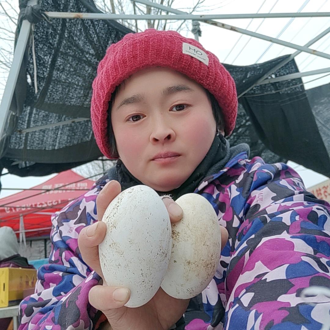 憨媳妇卖鹅蛋（活禽）