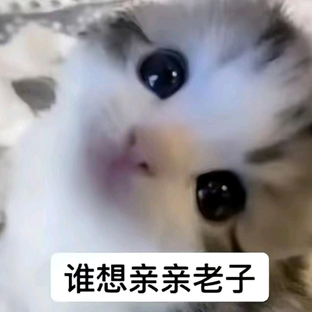 喵哉喵哉（求赞求关注