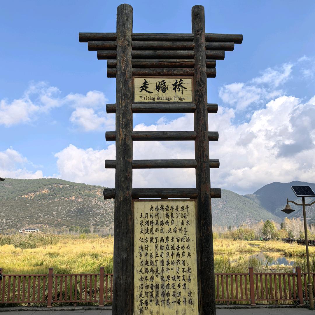 美丽