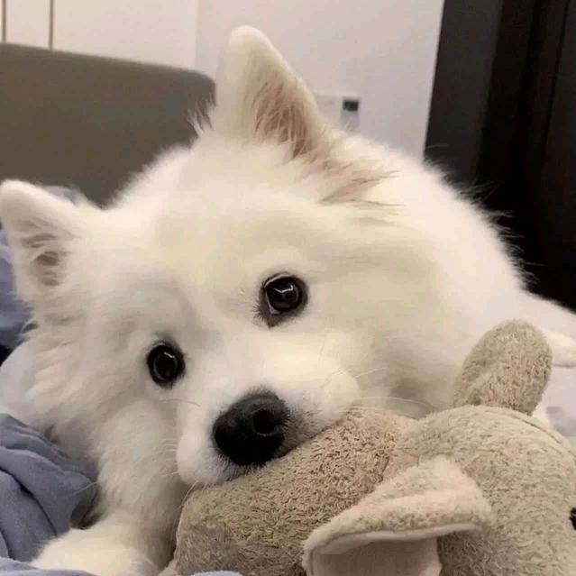 怨天尤人