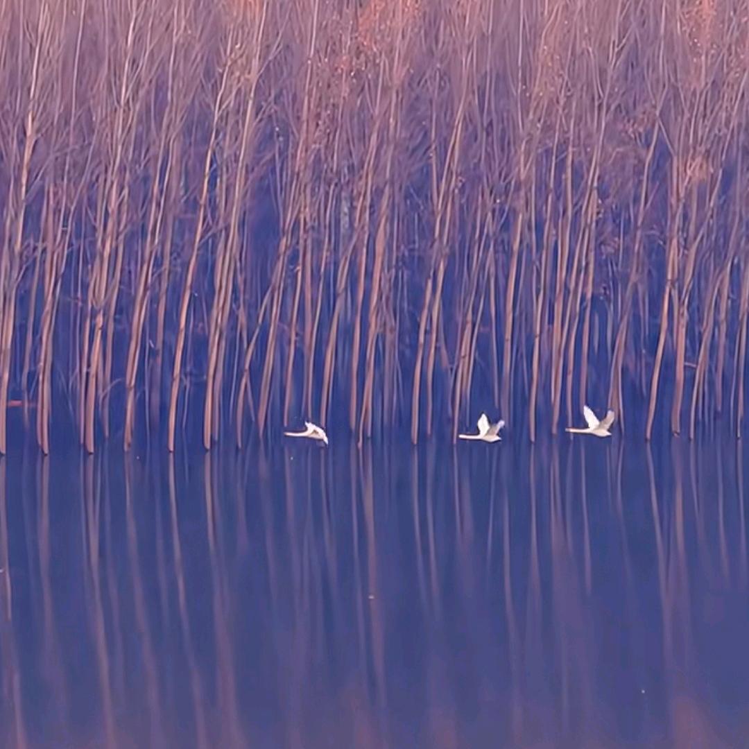 漫随天外云卷云舒