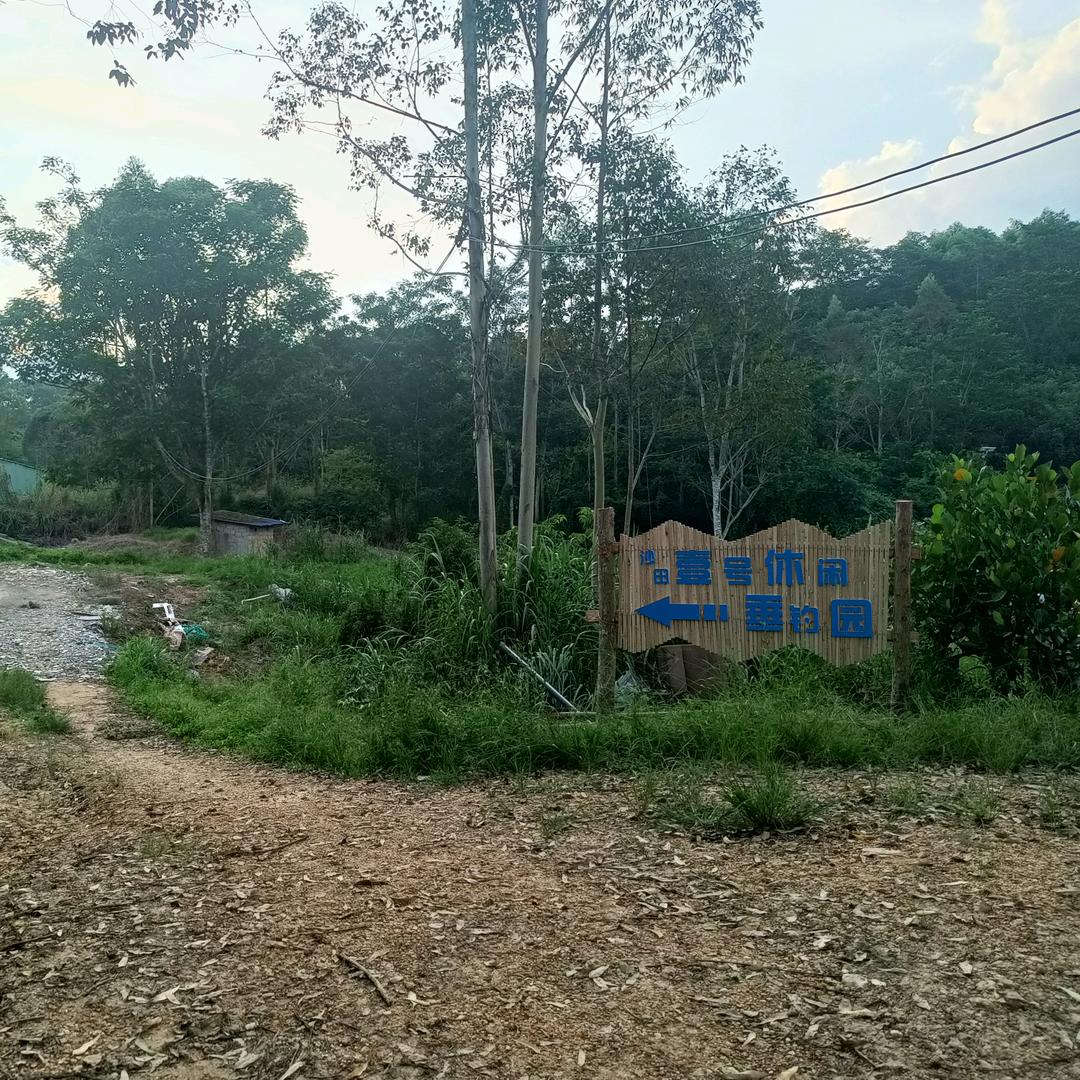 沙田壹号休闲垂钓园