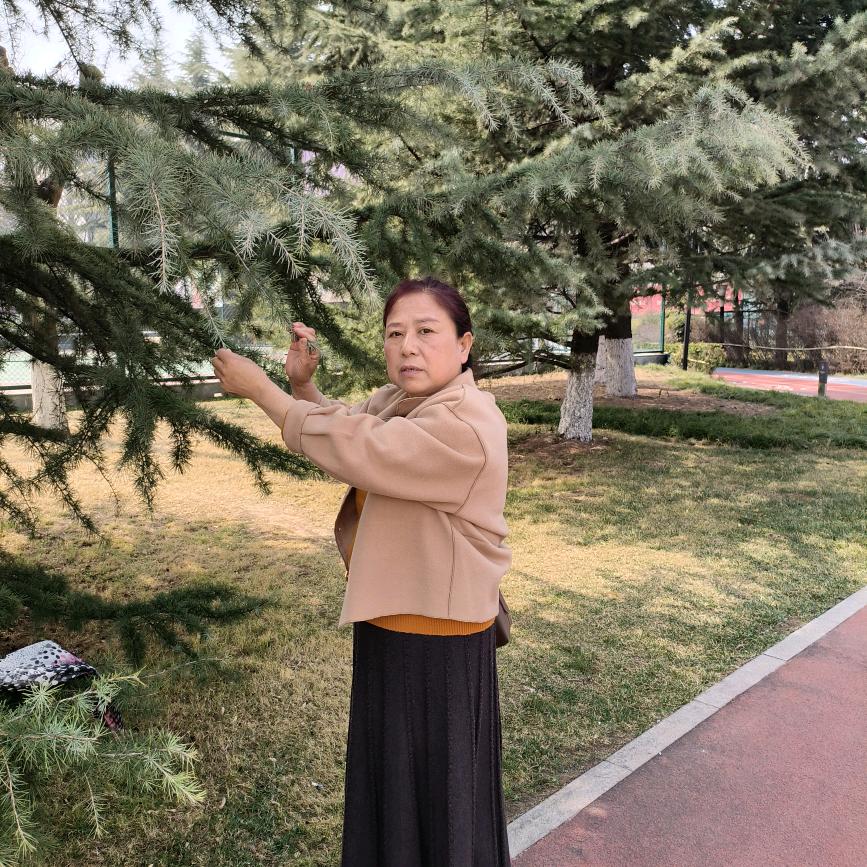 张丽芳
