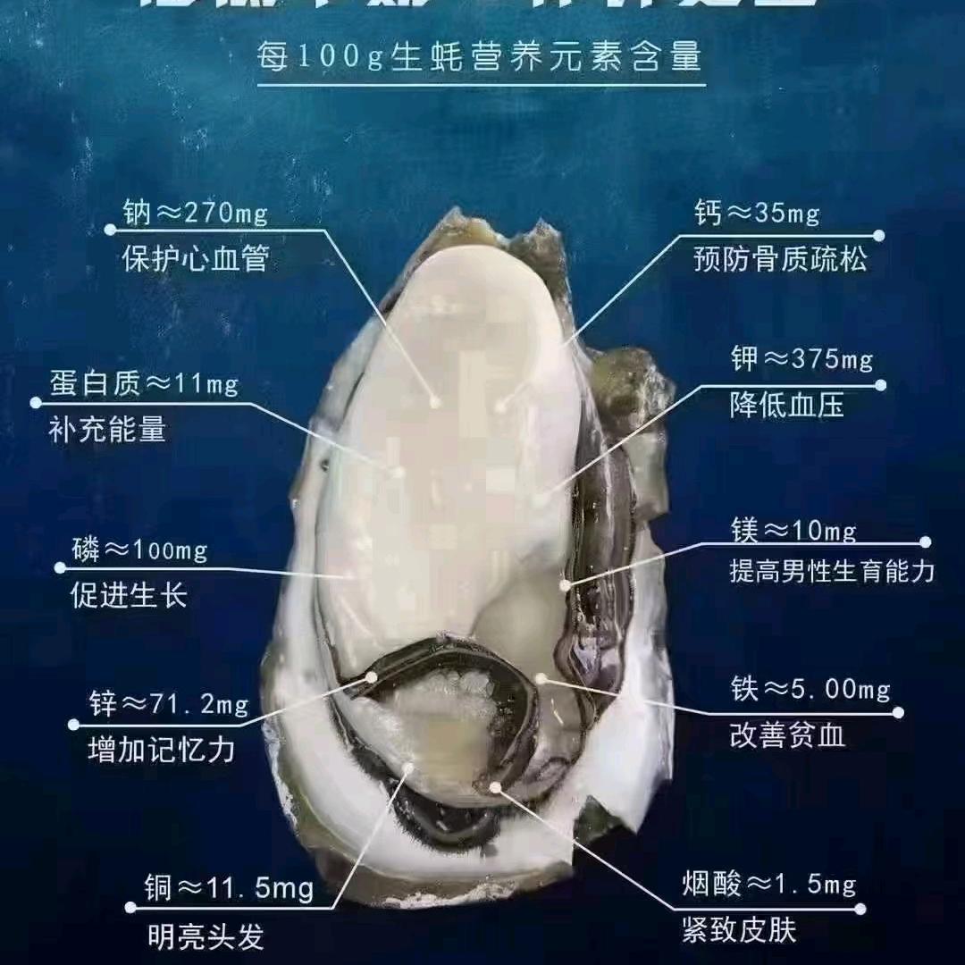 一号码头水产