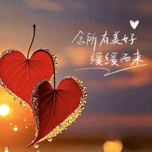 🌺🌺🌺🌺🌺🌺🌺