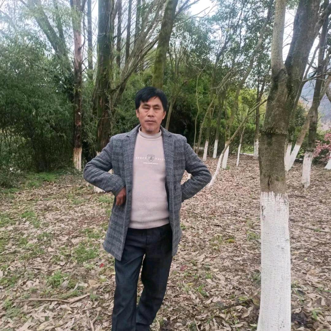 我不会寂寞