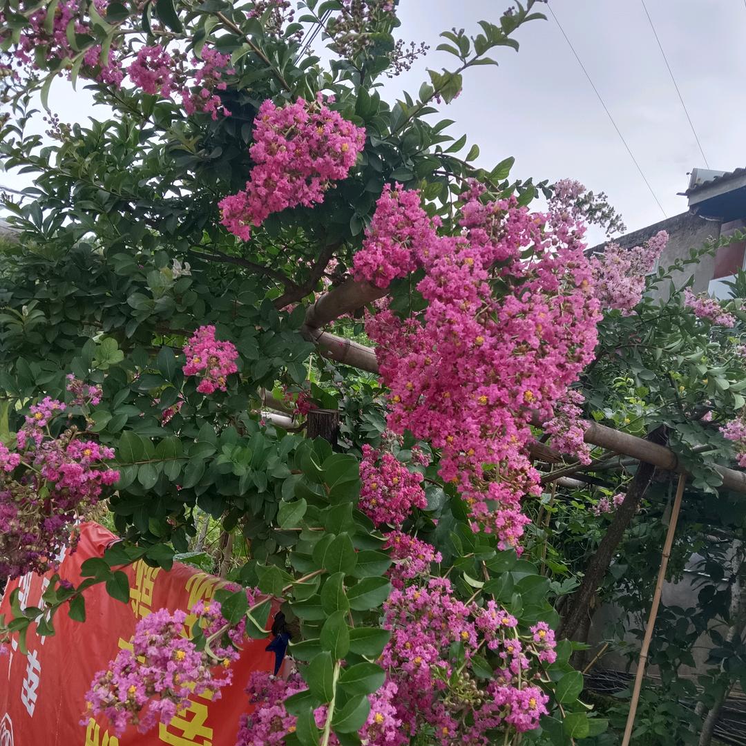 恭喜发财一帆风顺