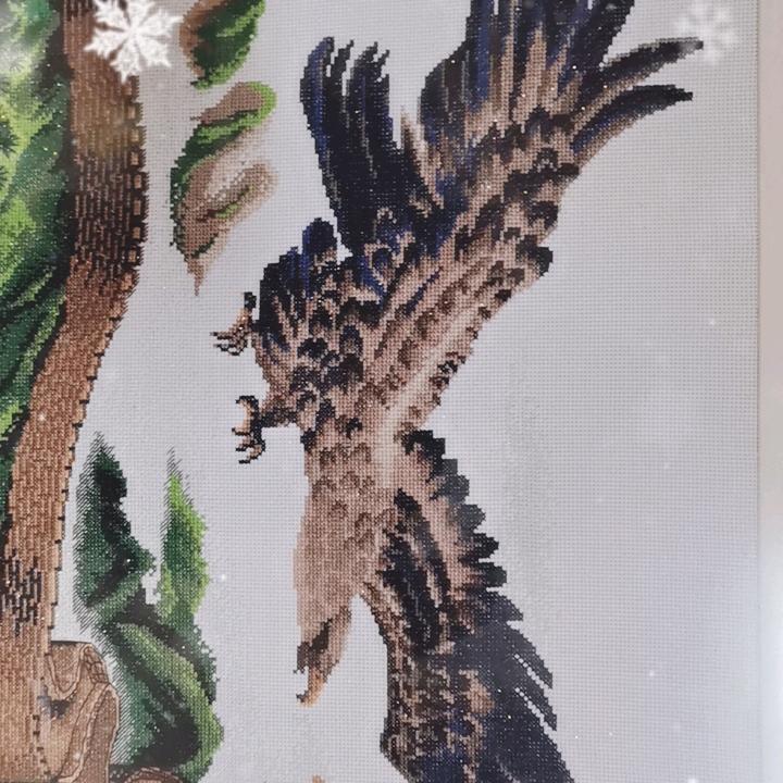 🦅霸山河
