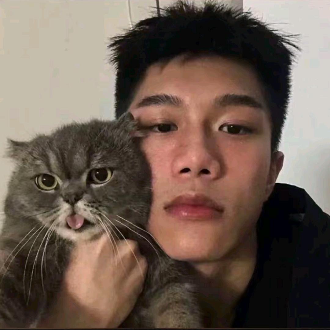 冬眠的狍子