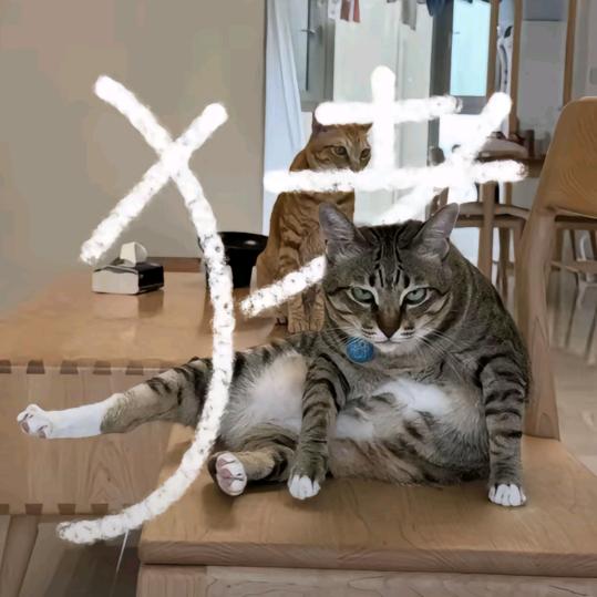 通知