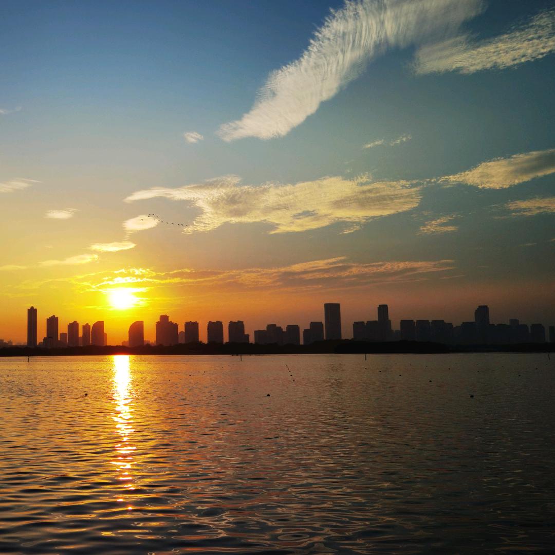 景异