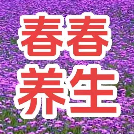 春春养生，陈冬4直播过年不回家