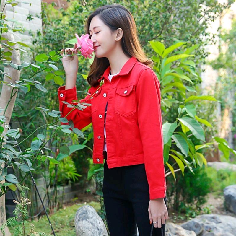 🌹单🌹身🌹燕🌹儿🌹