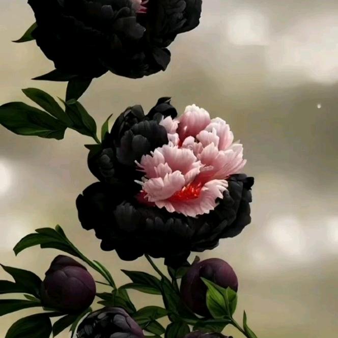 🍀不管杂事🍀