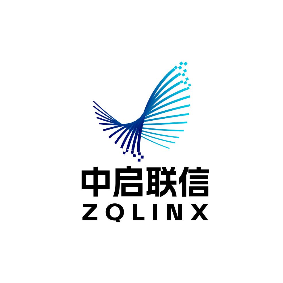 中启联信科技集团