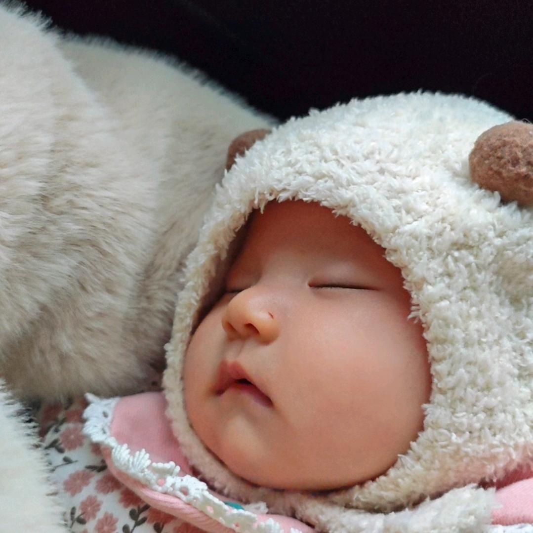 纯情大母猴