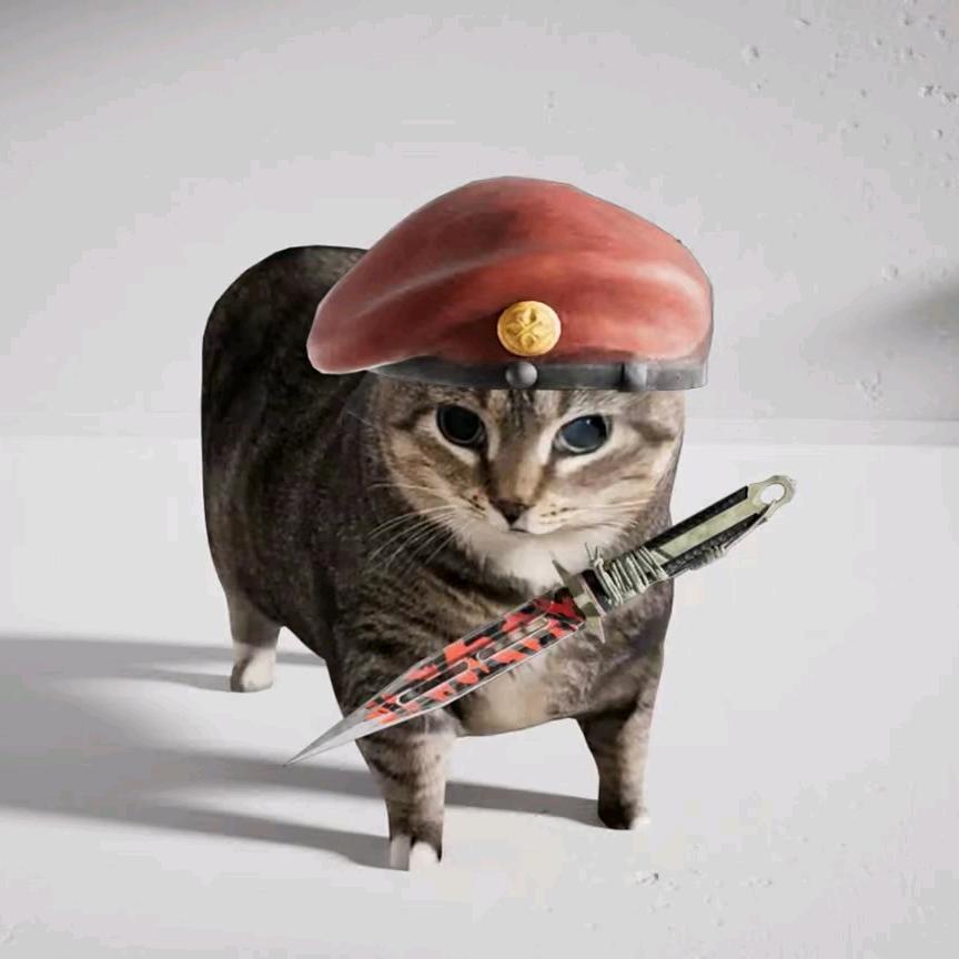 猫师傅