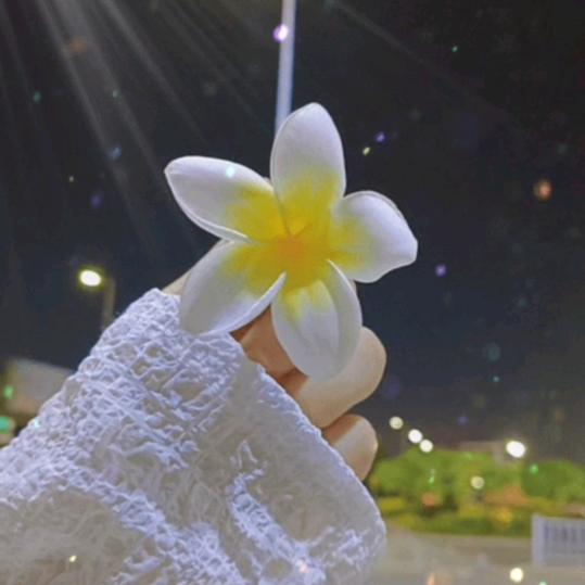儿子的抖音