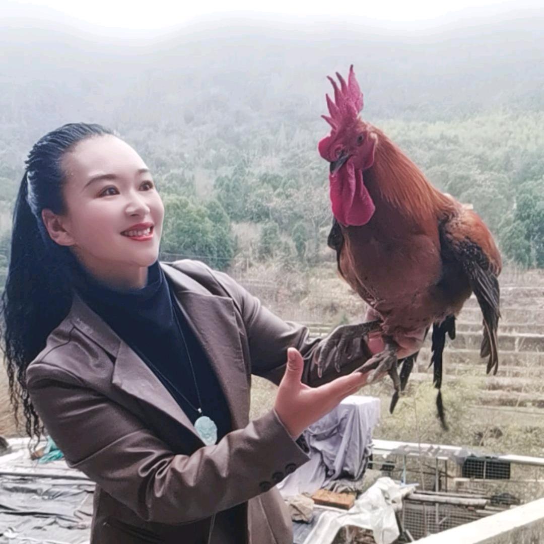 麻雀农村生活