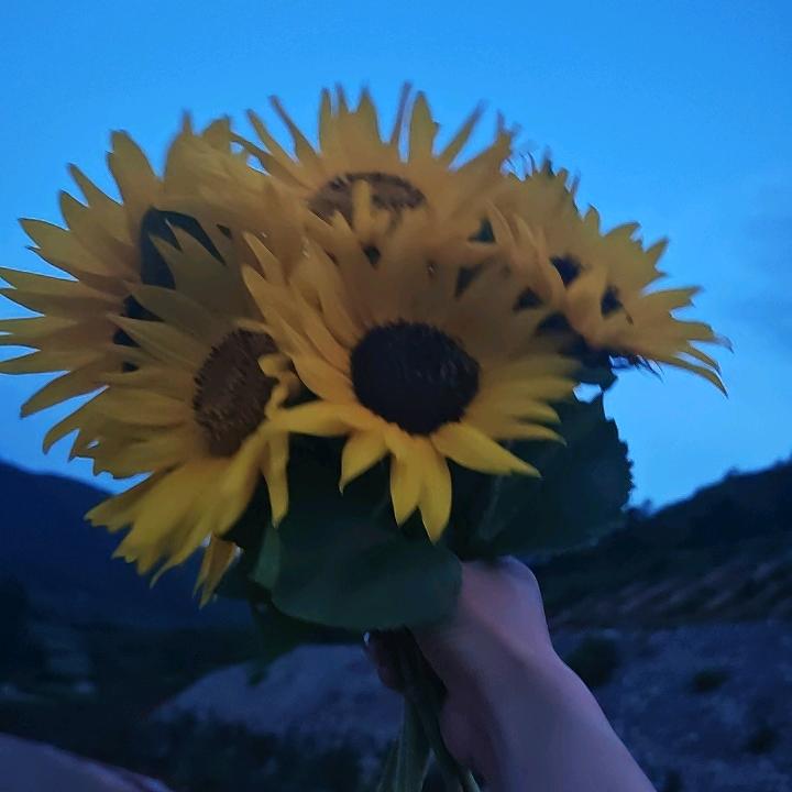 大☀️