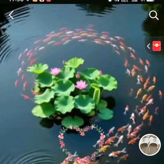 细雨中的漫步思念