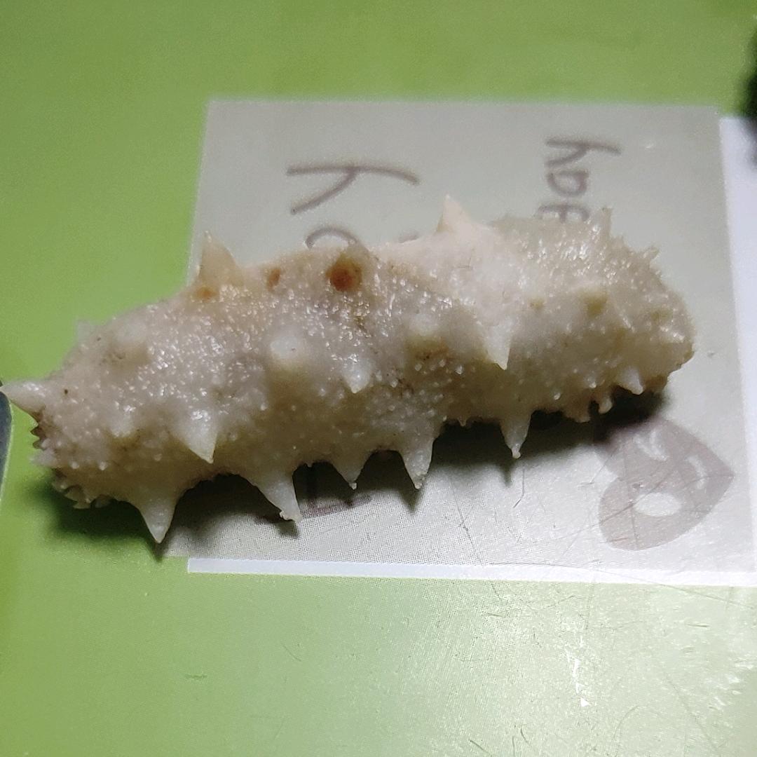 柳冰187