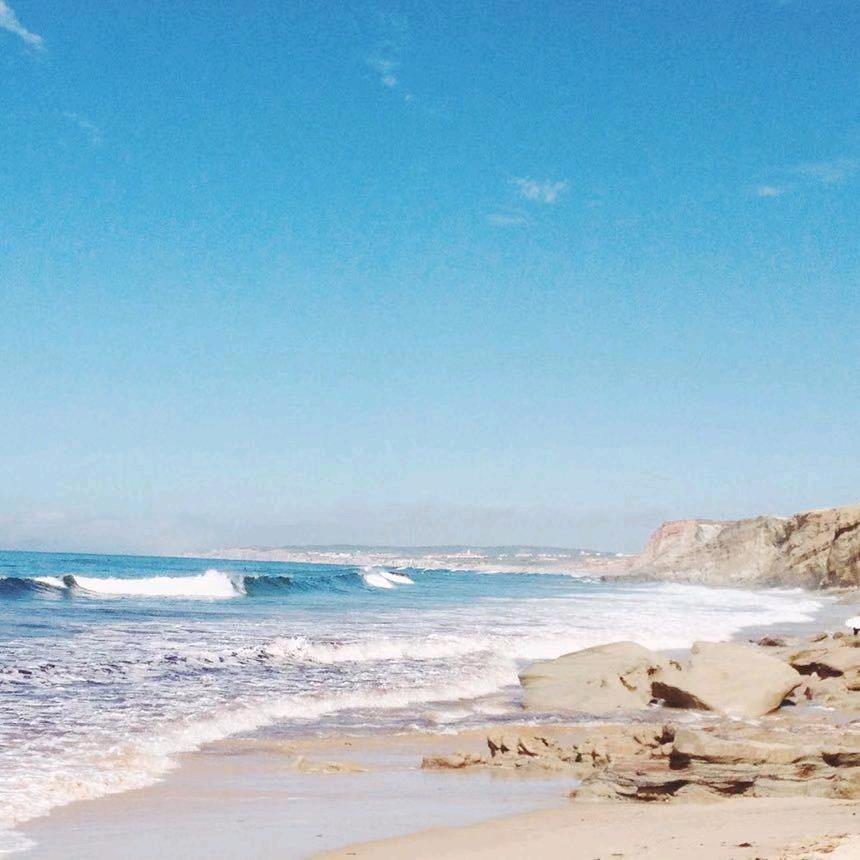 🌈ゞ谈笑风生🐘