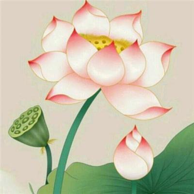 @禅静@