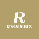 榕树基地园艺