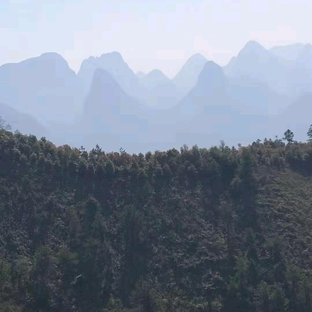 东方龙