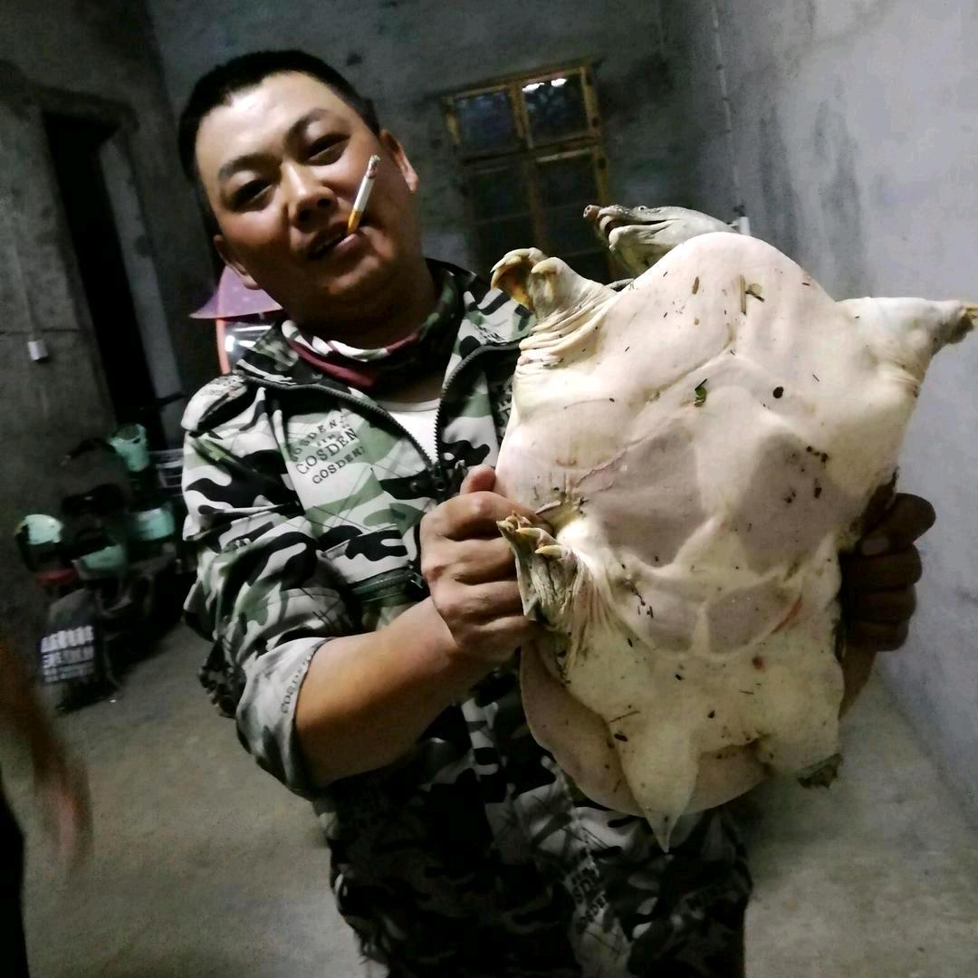 平常心