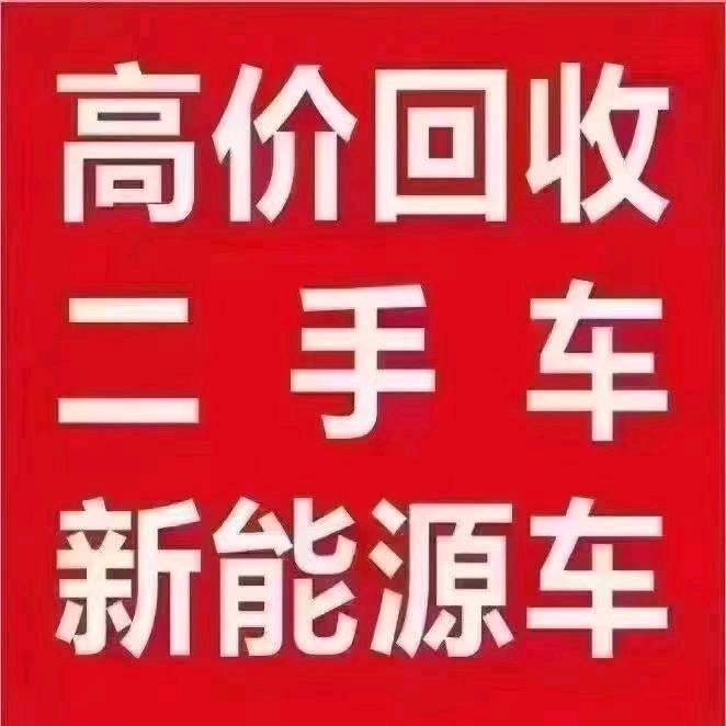 A小李-上海沪A新能源二手车