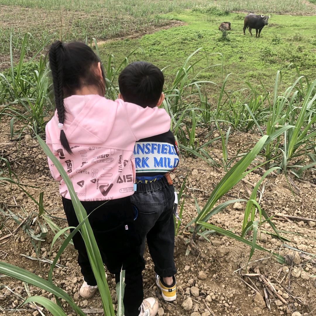 鑫👣梦宝贝