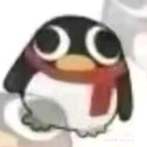 pingu