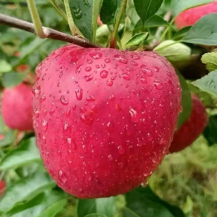 今生爱的就是你