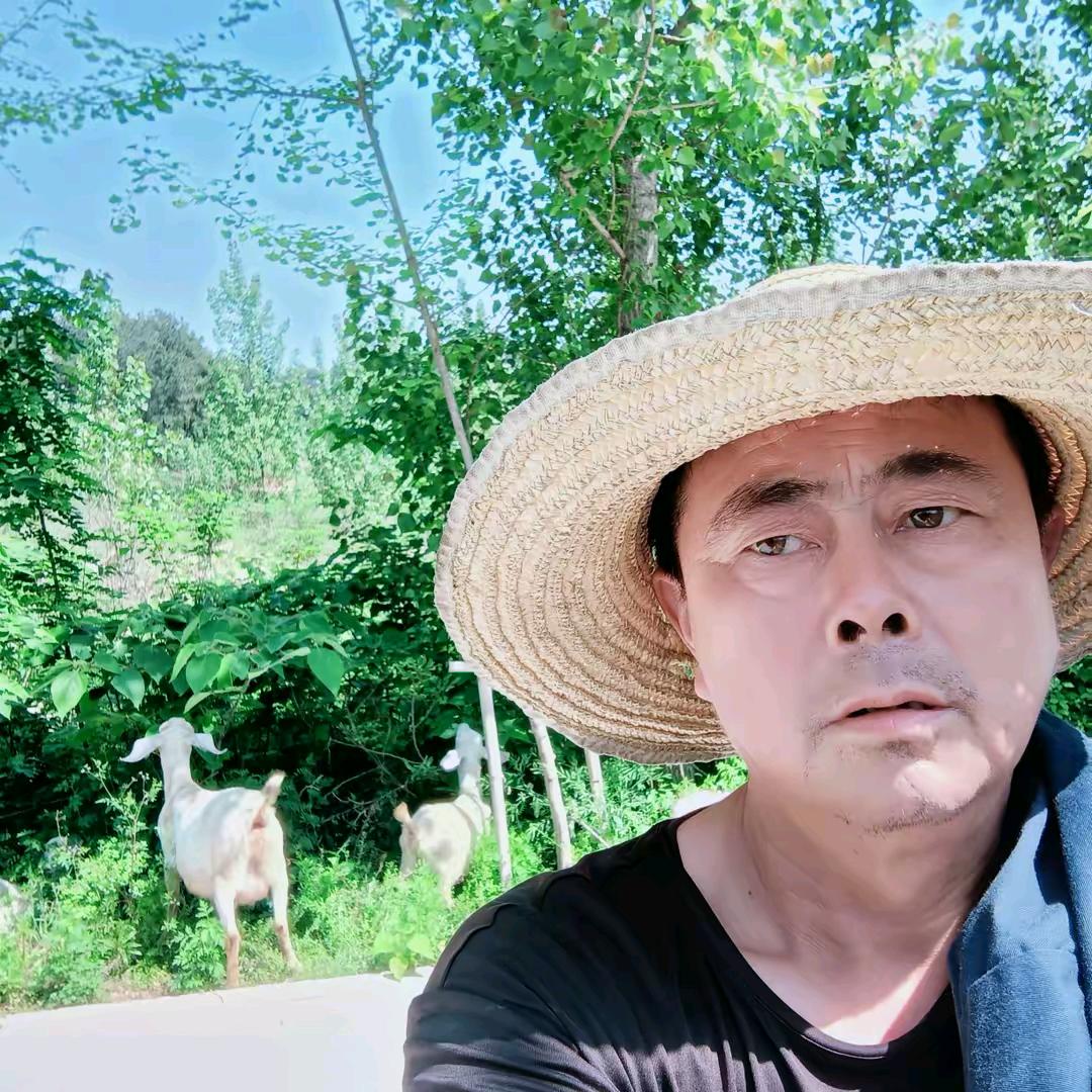 牧羊五哥2（10.10）